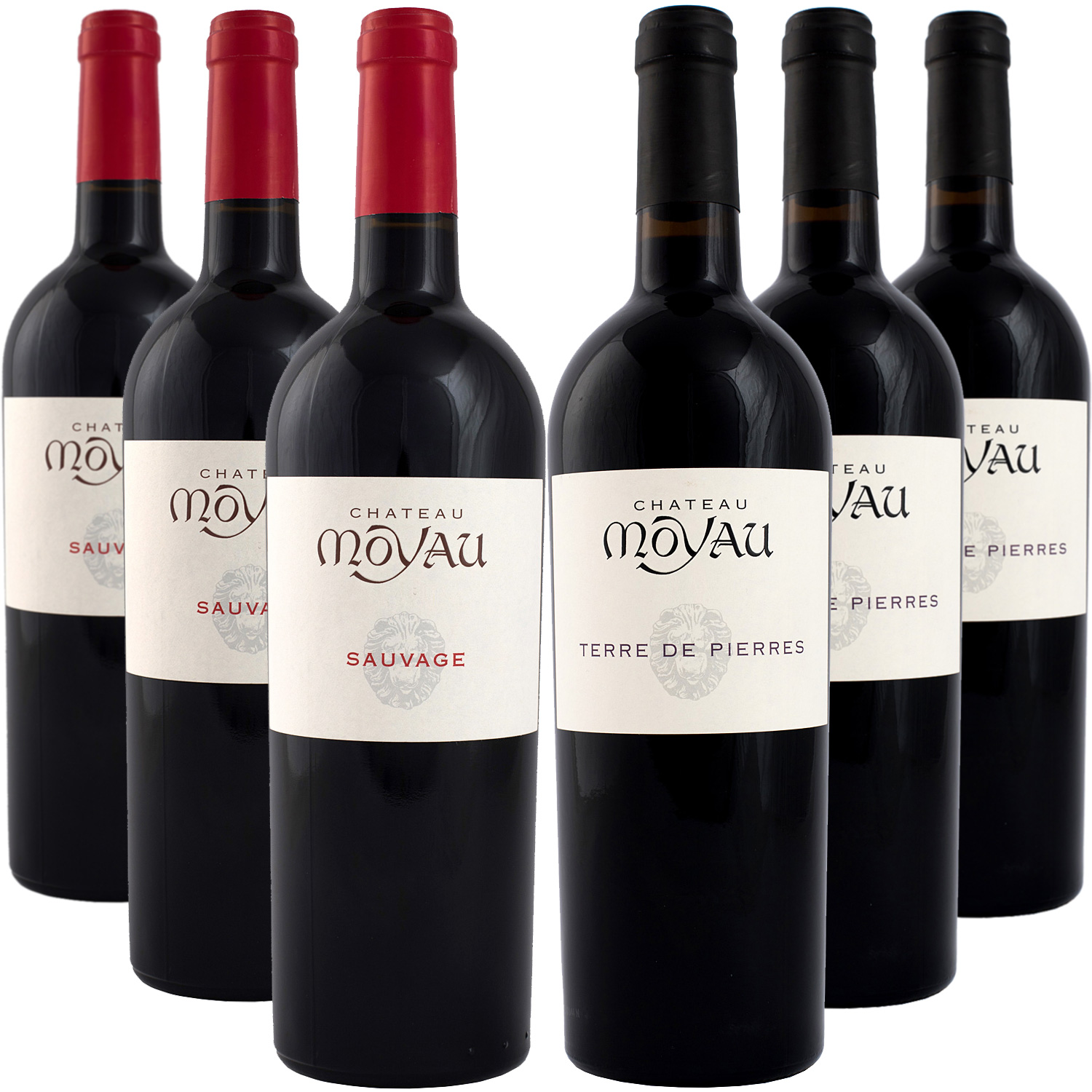 Château Moyau 6er Rotwein Paket