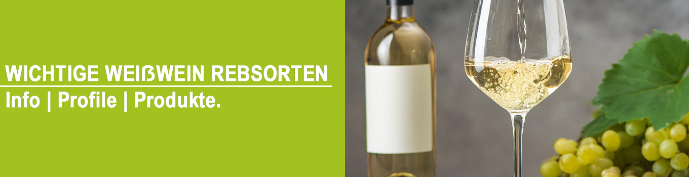 Weißwein Rebsorten Information | Geschmacksprofil