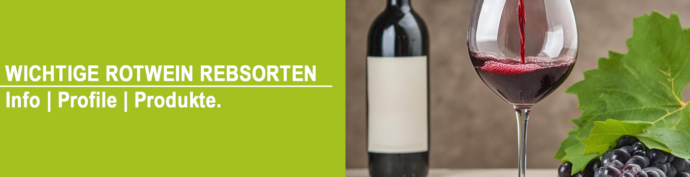 Rotwein Rebsorten Information | Geschmacksprofil