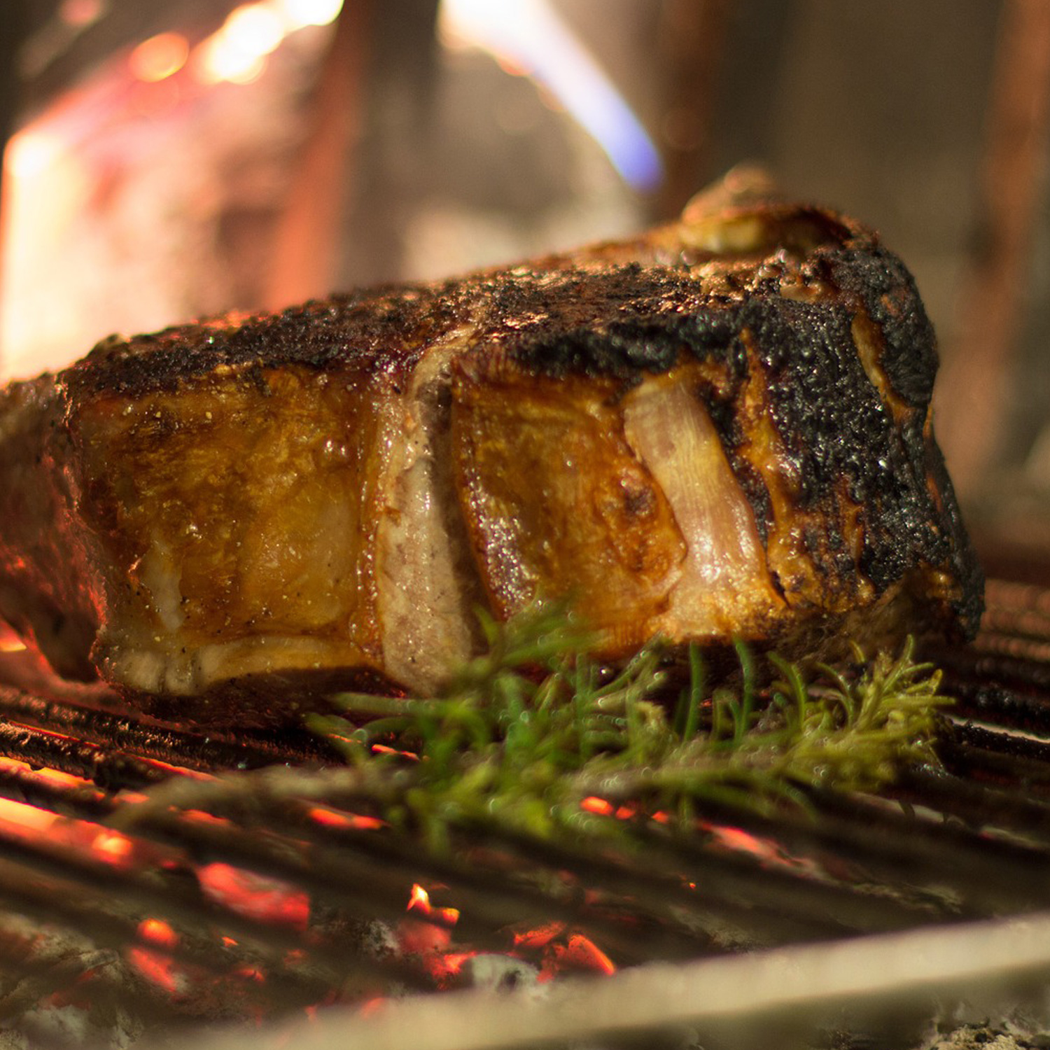 Passt gut zu Fleisch (dunkel)